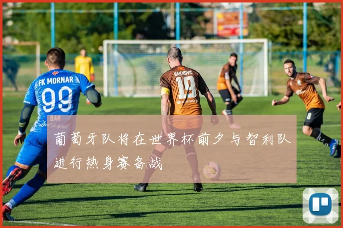 葡萄牙队将在世界杯前夕与智利队进行热身赛备战